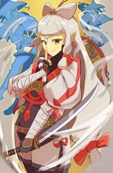 impa from hyrule warriors
