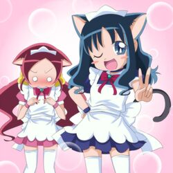 hanasaki tsubomi from heartcatch precure! by jun (aoerm)