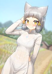 nia (xenoblade) from xenoblade chronicles (series)