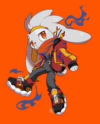 raboot from pokemon