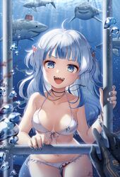 gawr gura from hololive