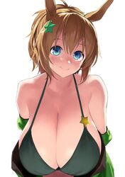 taiki shuttle (umamusume) from umamusume by gen (black factory)