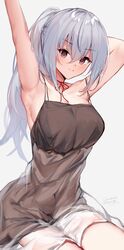 hakase fuyuki from nijisanji