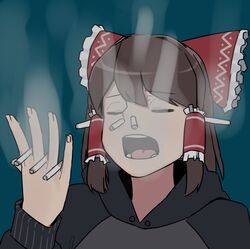hakurei reimu from cookie (touhou) by ohasi