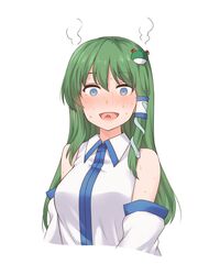 kochiya sanae from touhou by miyo (ranthath)