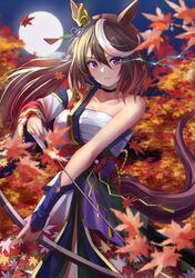 symboli rudolf (umamusume) from umamusume