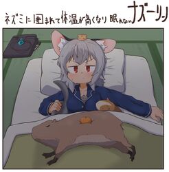 nazrin from touhou