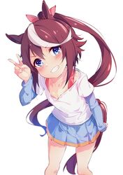 tokai teio (umamusume) from umamusume