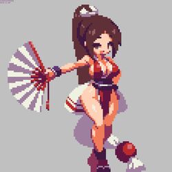 shiranui mai from fatal fury by sakuemon