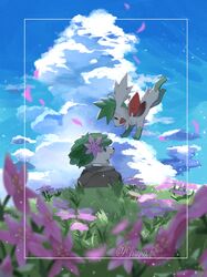 shaymin from pokemon