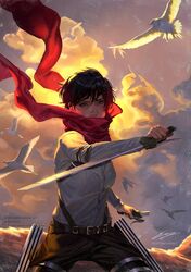 mikasa ackerman from shingeki no kyojin