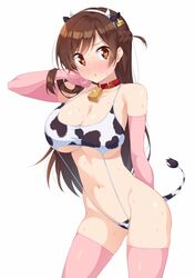 mizuhara chizuru from kanojo okarishimasu by ichi makoto