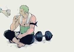 roronoa zoro from one piece