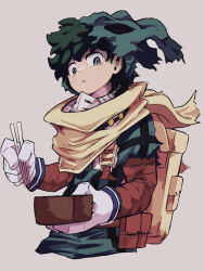 midoriya izuku from boku no hero academia