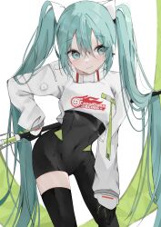 hatsune miku from vocaloid
