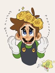 luigi from mario & luigi: superstar saga by mimimi (mimimim9999)