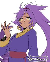 blaze the cat from sonic (series)