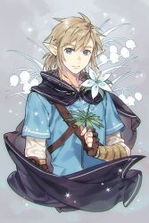 link from the legend of zelda by ashi