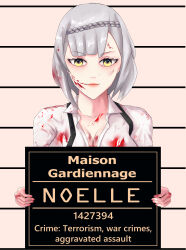 noelle (genshin impact) from genshin impact