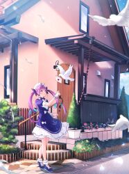 minato aqua from hololive