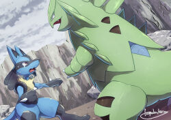 lucario from pokemon