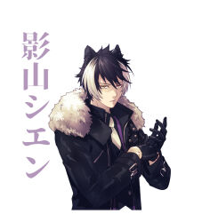 kageyama shien from holostars