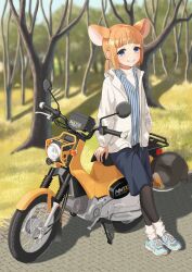 indie virtual youtuber fan art