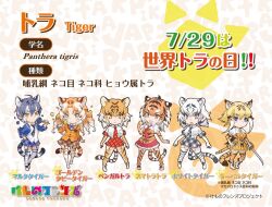 golden tabby tiger (kemono friends) from kemono friends by yoshizaki mine