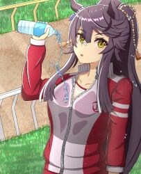narita brian (umamusume) from umamusume