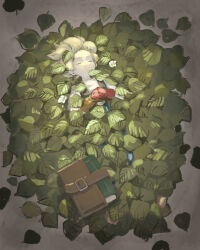 dragon quest fan art
