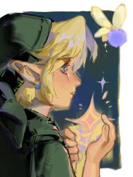 link from the legend of zelda
