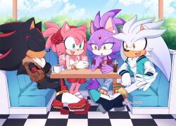 amy rose from sonic (series)