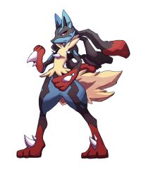 lucario from pokemon