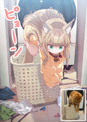 kinako (40hara) from original by 40hara