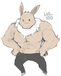 eevee from pokemon