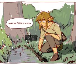 link from the legend of zelda