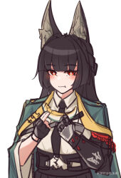hoshimi miyabi from zenless zone zero