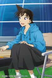 mouri ran from meitantei conan