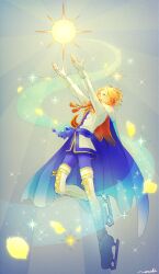 hayami hiro from pretty rhythm by tamamochi