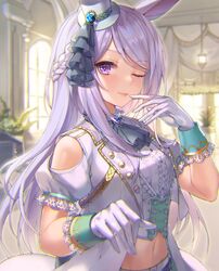 mejiro mcqueen (umamusume) from umamusume