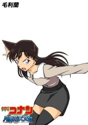 mouri ran from meitantei conan