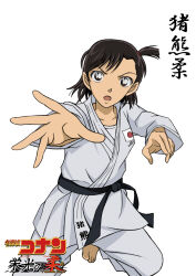 inokuma yawara from meitantei conan