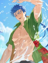 cu chulainn (fate) from fate/stay night
