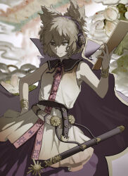 toyosatomimi no miko from touhou