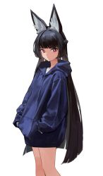 hoshimi miyabi from zenless zone zero