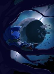 sonic the hedgehog from sonic (series)