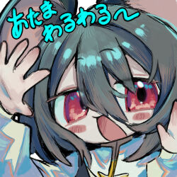 nazrin from cookie (touhou)