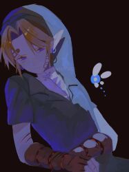 link from the legend of zelda