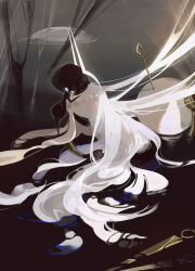 blankowalska from hollow knight