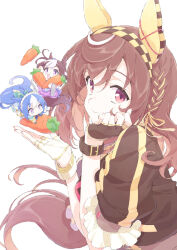 buena vista (umamusume) from umamusume by t-okada